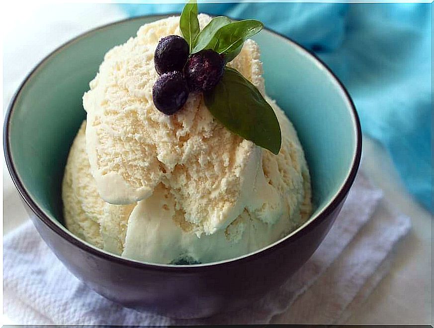 fruit ice cream with blueberries