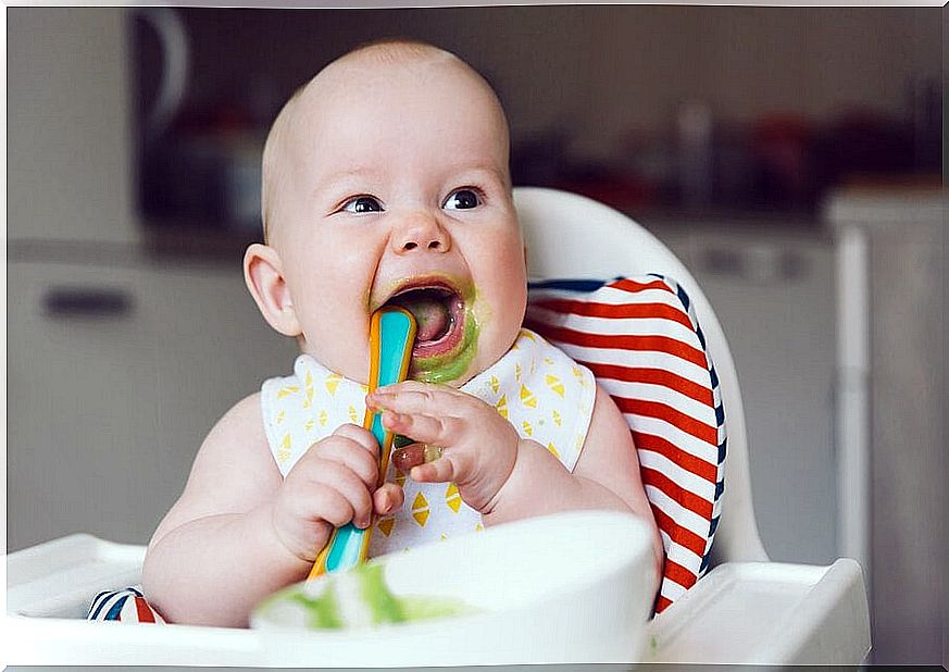 7 vegetable purees for babies