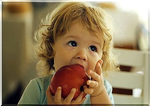 Foods that help prevent anemia in children