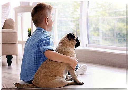 How can therapy animals help children?