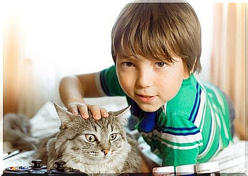 therapy animals help children: boy with cat