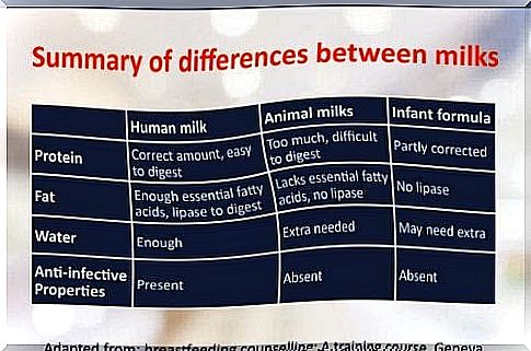 do you choose breast milk substitute: comparison between breast milk, animal milk and substitute