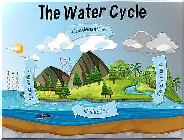 Illustration water circulation 