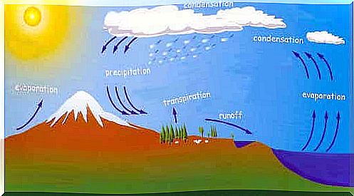 Detailed English illustration of water circulation.